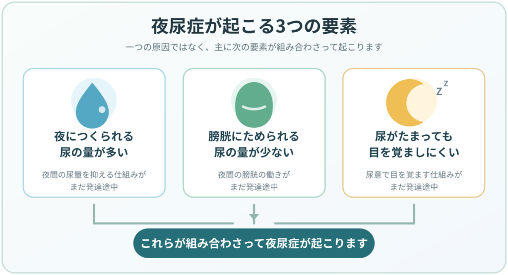 夜につくられる尿の量、膀胱にためられる尿の量、尿意で目を覚ます仕組みの3要素を示した図